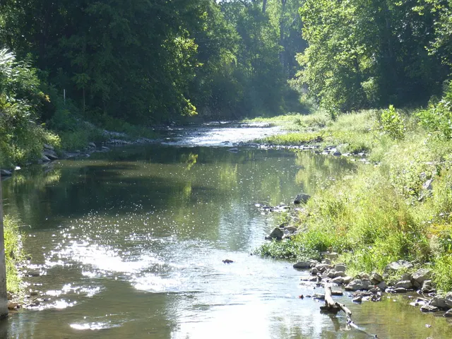 White Lick Creek bordered by trees in Plainfield, Indiana