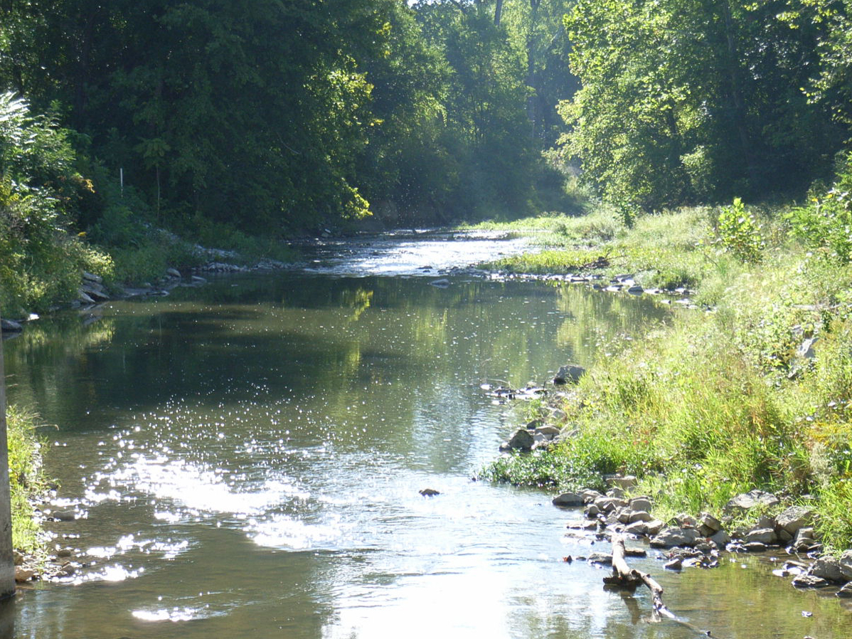 White Lick Creek bordered by trees in Plainfield, Indiana